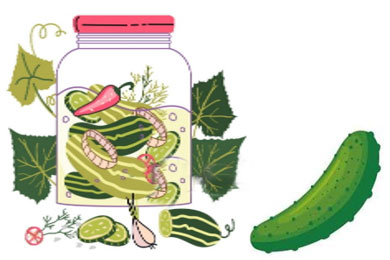Learn the science and craft behind perfect refrigerator and fermented pickles