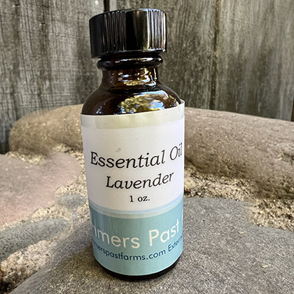 Lavender Essential Oil